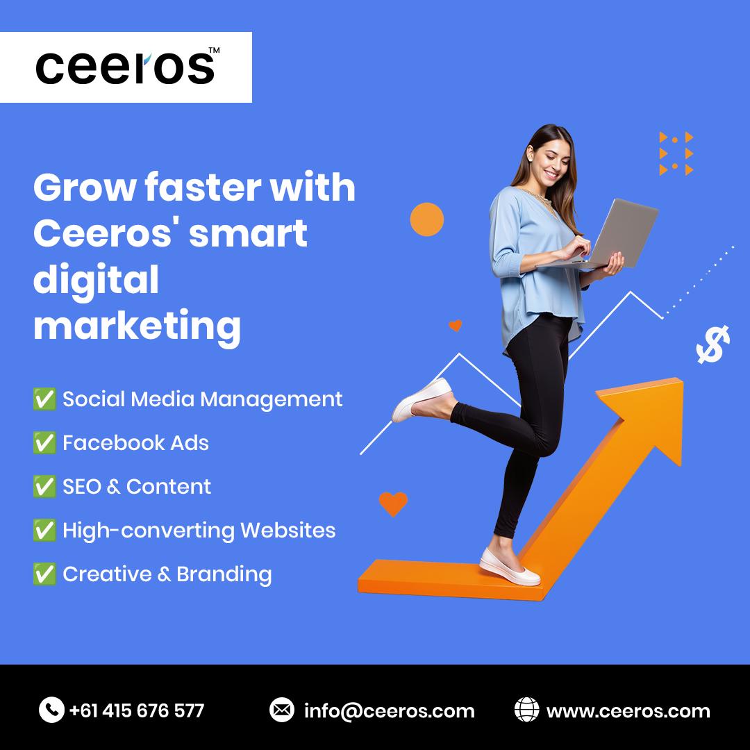 The Ceeros Playbook: Building Profitable Digital Assets